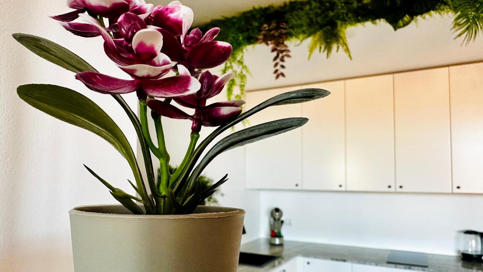 Garden Of Eden Modern Apartments - Apartello,Com Sveti Vlas Eksteriør bilde